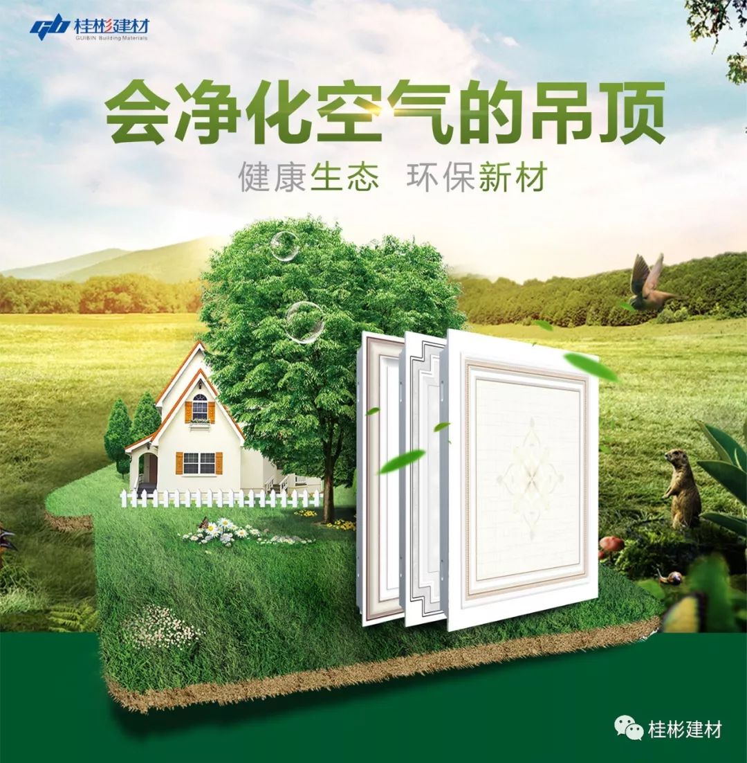 環(huán)保吊頂材料